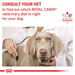 Royal canin kidney clearance dog