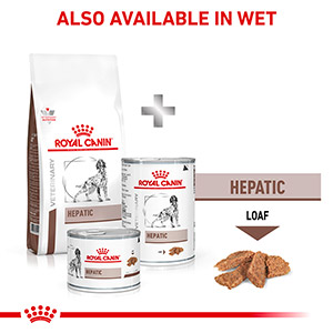 hepatic dry dog food