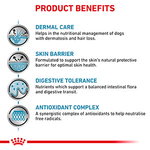 Royal canin skin clearance support