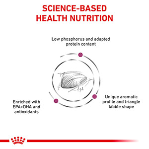 Royal canin veterinary diet renal 2024 support a dry cat food