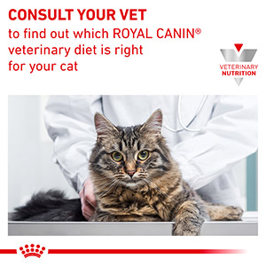 geïrriteerd raken James Dyson onvoorwaardelijk Royal Canin Veterinary Health Nutrition Mobility Adult Dry Cat Food 2kg |  Pets At Home