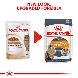 Royal canin intense 2025 beauty in jelly