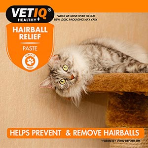 VetIQ Hairball Remedy Paste For Cats and Kittens 70g Pets At Home