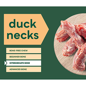 Natures menu 2025 duck necks