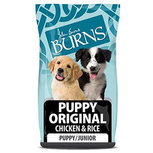 burns toy and small breed pets at home