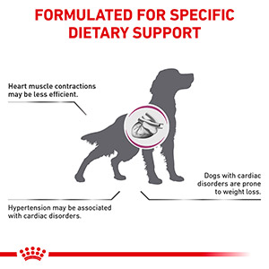 Royal canin 2025 early cardiac petsmart