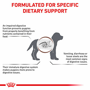 Royal canin gastro shop intestinal junior dog food