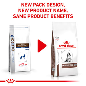 Royal canin gastro intestinal dry hot sale dog food