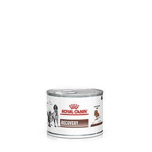 Royal Canin Veterinary Health Nutrition Adult Wet Dog & Cat Food 12 x 195g  Cans