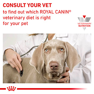 Royal Canin Veterinary Health Nutrition Adult Wet Dog & Cat Food