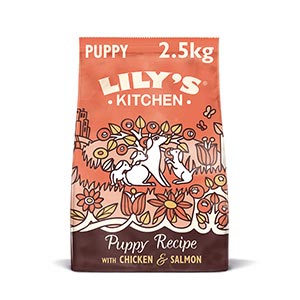 Lily's Kitchen Puppy Recipe Complete Dry Dog Food Chicken and Salmon 2 ...