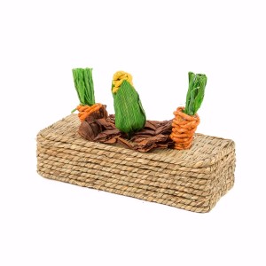 Vegetable Play Patch Small | Pets At Home