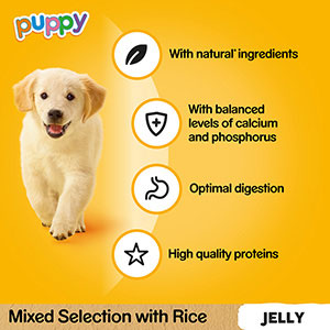 Pedigree Wet Puppy Food Mixed in Jelly Pouches | Pets At Home