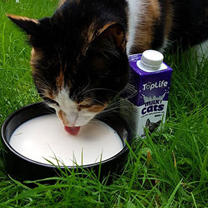 Toplife Cat Milk 200ml | Pets At Home
