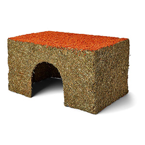 Woodlands Carrot Small Animal Cottage Pets At Home