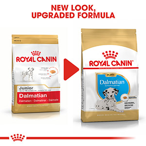 Dalmatian shop royal canin