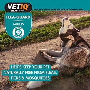 Flea guard clearance