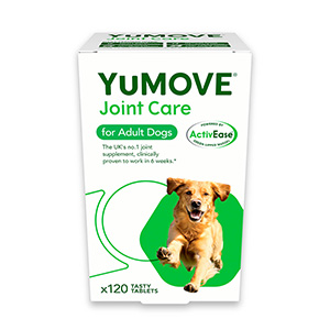 Dog stiff joints store remedies