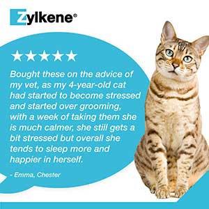 Zylkene for cheap cats