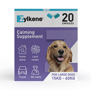 Zylkene Calming Supplement for Dogs (30-60kg) 20 capsules | Pets At Home