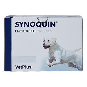 synoquin puppy