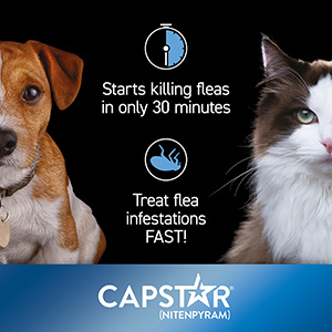 Capstar for small dogs and clearance cats