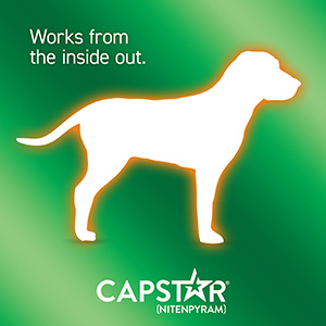 Capstar 40kg clearance