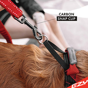 Zero shock best sale dog lead