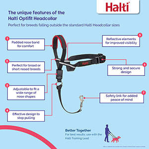 halti harness pets at home