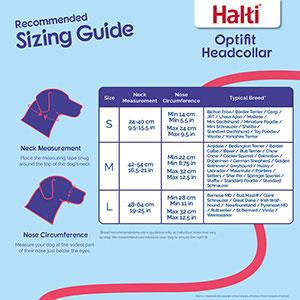 halti face harness