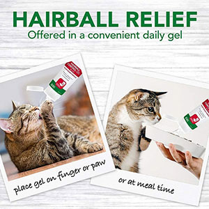 Best hairball hotsell control for cats