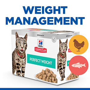 Hill's science perfect weight hotsell cat food