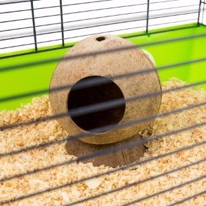 12x13.5cm Hamster Hideout Coconut Hut Small Animal Bed Pet Cave Nest Climber Supplies for Gerbils Mice Hamster Coconut Shell House Hamster Cage Accessories Chew Toy 