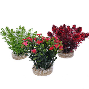 Live aquarium plants pets at outlet home