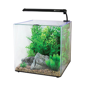 Aqua One Aspire Glass Aquarium Litre | Pets At
