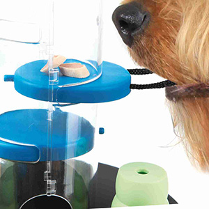 TRIXIE Gambling Tower Activity for Dogs (Level 1) - Blue/White