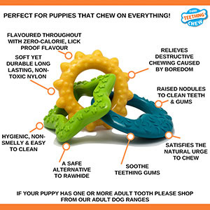 Nylabone puppy teething outlet rings