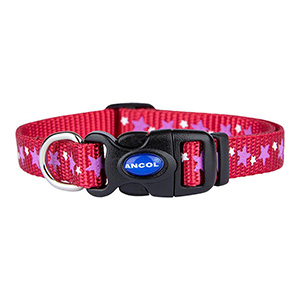 Ancol dog collar 2024 and lead sets