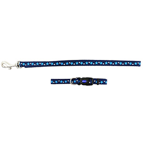 small dog collar and lead