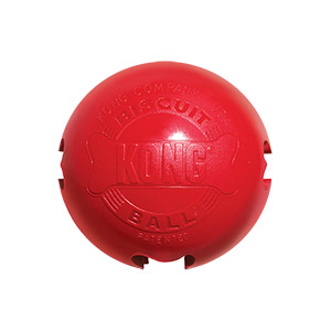 kong dog toys pets at home