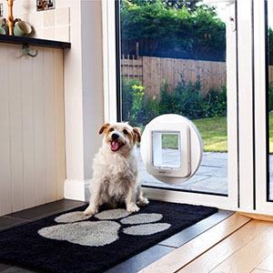 Dog flap outlet microchip medium