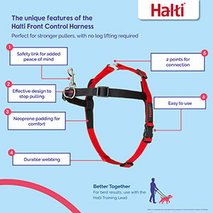 halti front clip harness