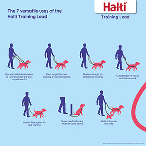 Halti Training Dog Lead Black Small | Pets At Home
