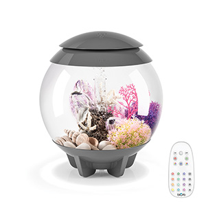 biOrb Flow 15 Litre Black Fish Tank Aquarium 