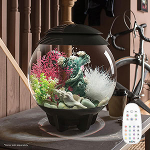 Aquarium on sale biorb 15l