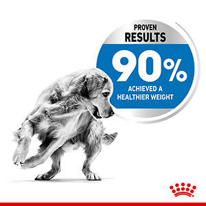 royal canin maxi weight care