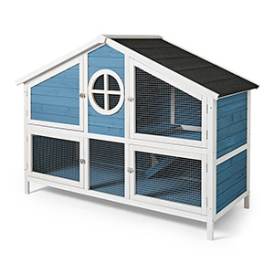 blue guinea pig cage