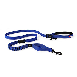 ezydog lead pets at home