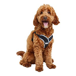 Pets at Home Step in Dog Harness Small 