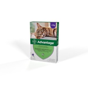 advantage 80 for cats amazon uk